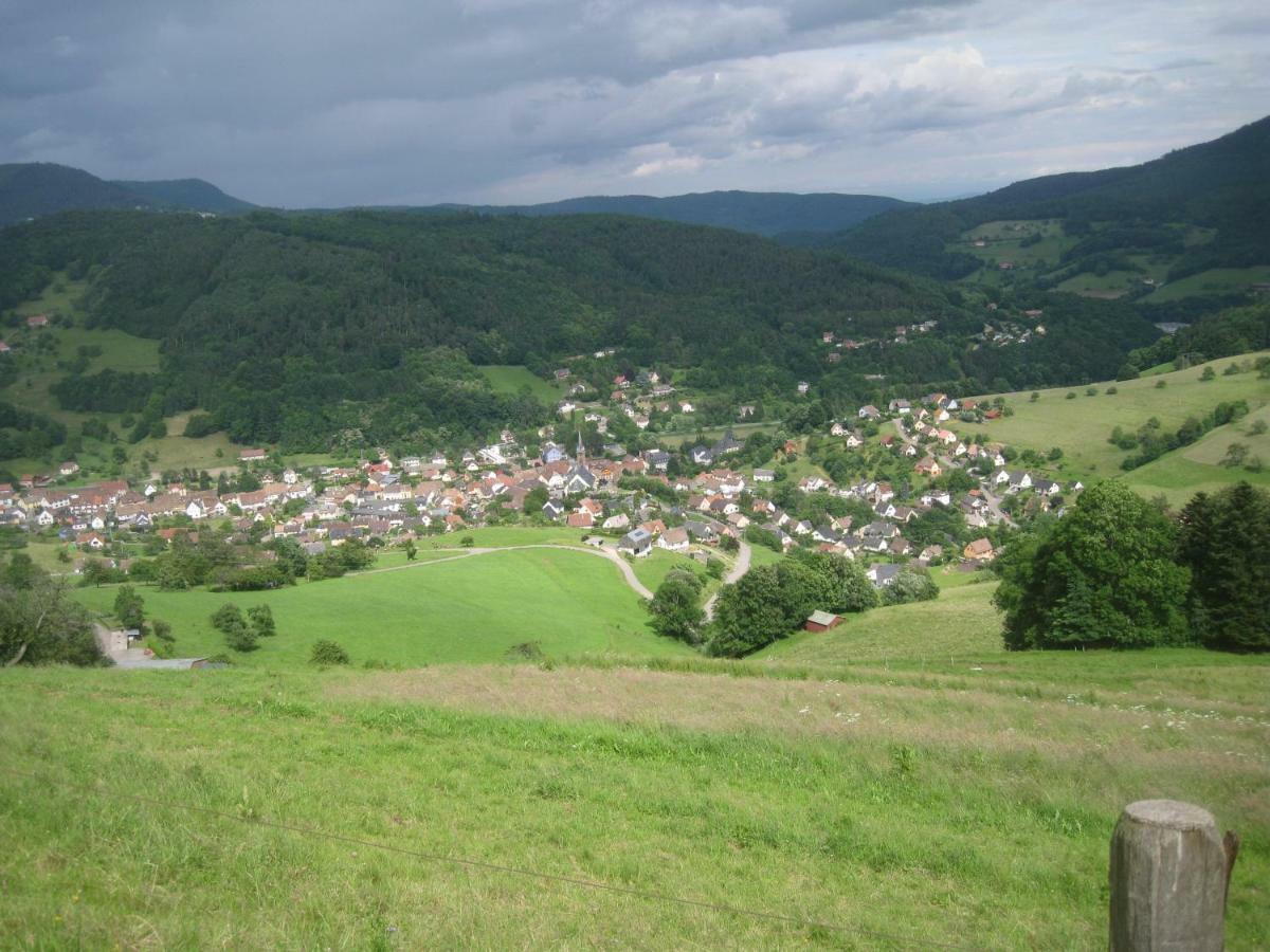 Gite En Pleine Verdure Au Coeur Du Village Lapoutroie Bagian luar foto