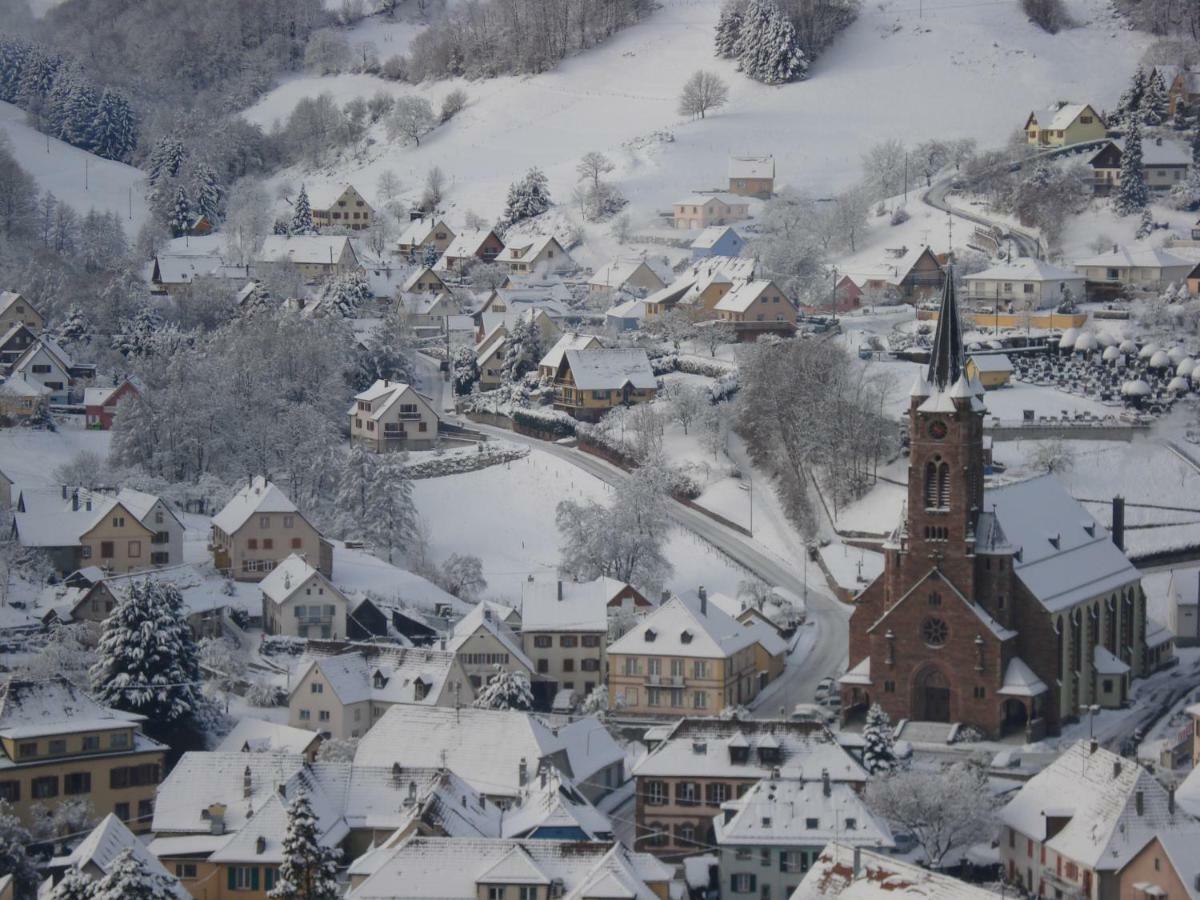 Gite En Pleine Verdure Au Coeur Du Village Lapoutroie Bagian luar foto